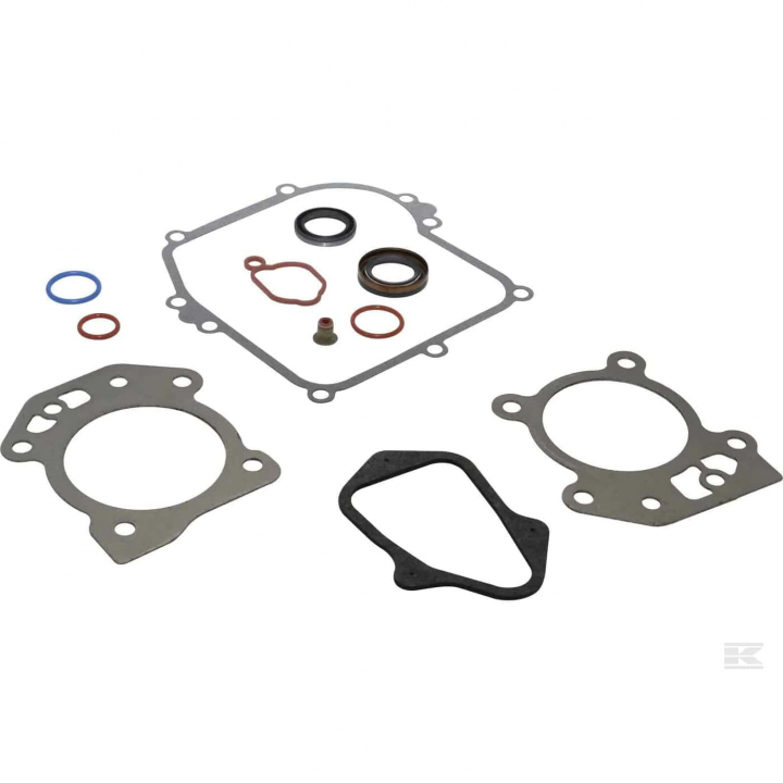 Gasket Kit B&S 595350 i gruppen B&S 08P502-0022-H1 hos GPLSHOP (5822886-23)