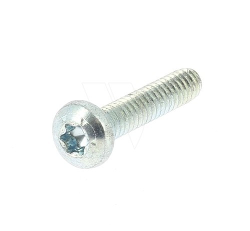 Screw,Torx#10-24X1 i gruppen  hos GPLSHOP (5836089-01)